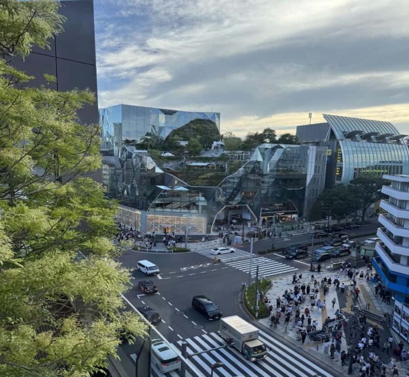From Nikko: Tokyo Art, Architecture, and Skyline Tour - Panoramic Views from Tokyo Tower