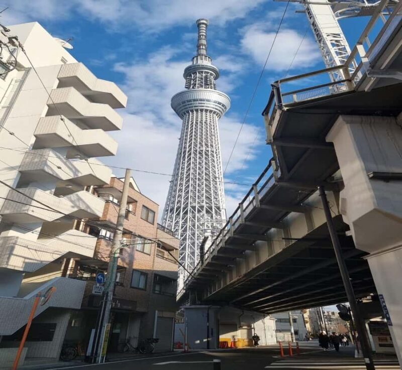 From Nikko: Tokyo Art, Architecture, and Skyline Tour - Practical Details and Value