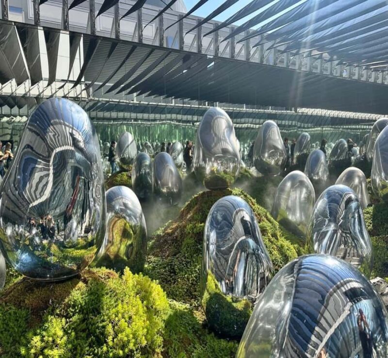 From Nikko: Tokyo Art, Architecture, and Skyline Tour - Good To Know