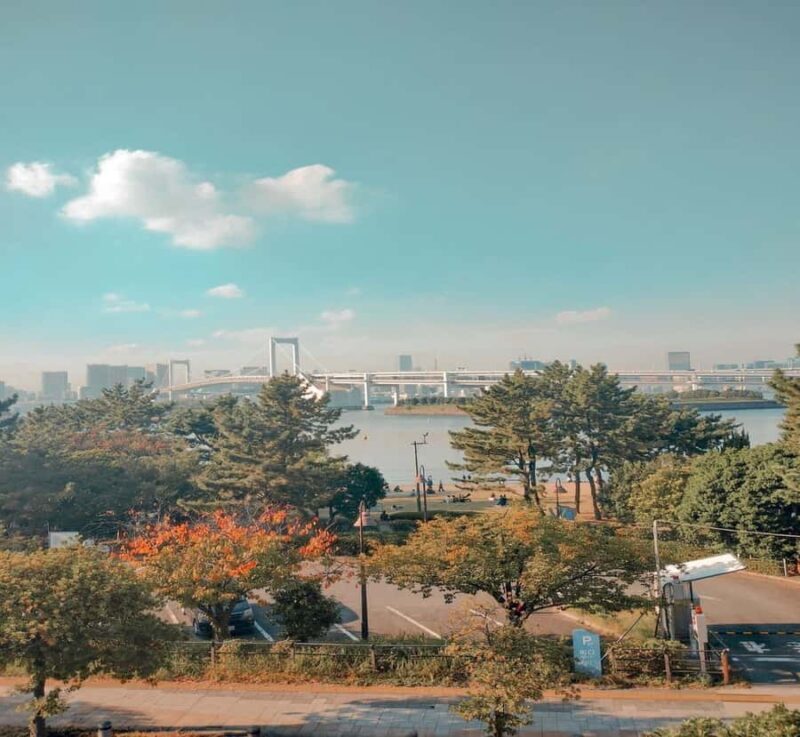 From Nikko: Tokyo Art, Architecture, and Skyline Tour - FAQ