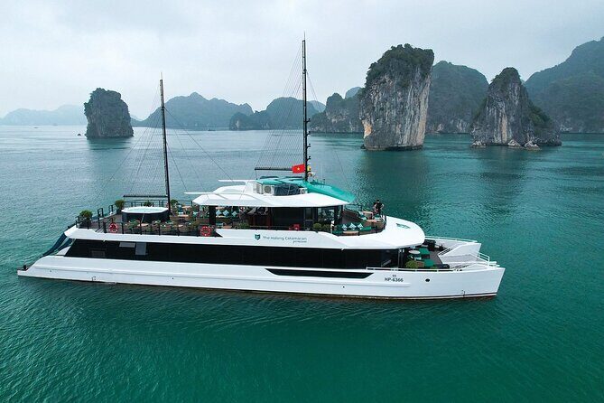 From Ninh Binh: 1 Day Lan Ha Bay Premium Cruise - Exploring Lan Ha Bay: A One-Day Adventure from Ninh Binh