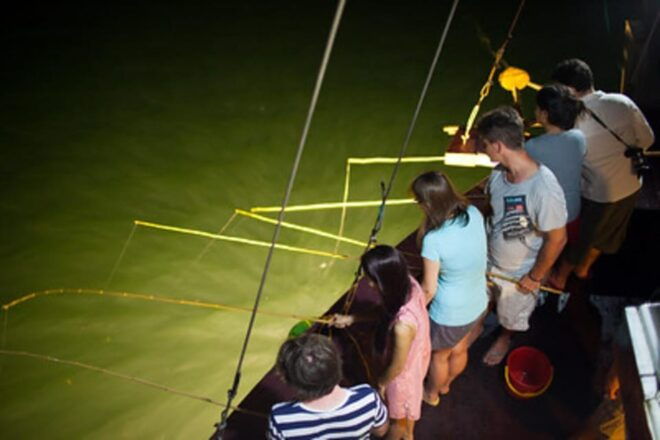 From Ninh Binh: 2-Day Ha Long Bay Phoenix Cruise Small Group - Included Activities