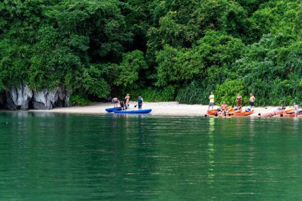 From Ninh Binh: 2 Days 1 Night Cruise in Bai Tu Long Bay - Frequently Asked Questions