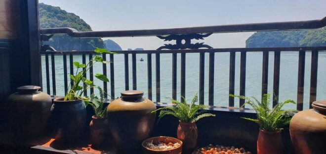 From Ninh Binh: 2Days Cozy Boutique Lan Ha Bay Cruise & BBQ - Activities and Highlights