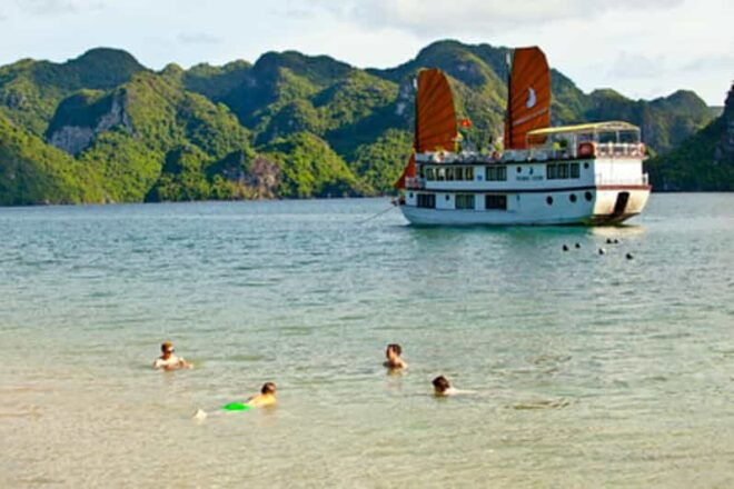 From Ninh Binh: 3-Day Ha Long Bay Phoenix Cruise Small Group - Activities and Amenities