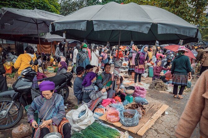 From Ninh Binh: 4 Day Ha Giang Loop Motorbike Tour With Rider - Final Thoughts