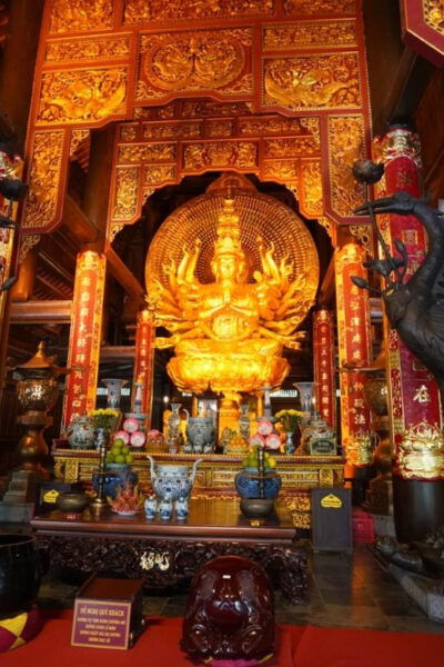 From Ninh Binh: Bai Dinh-Trang An-Mua Cave With Buffet Lunch - Important Information