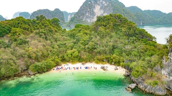 From Ninh Binh : Bai Tu Long Bay Swan Cruise 2-3 Days Trip - Kayaking in Bai Tu Long Bay