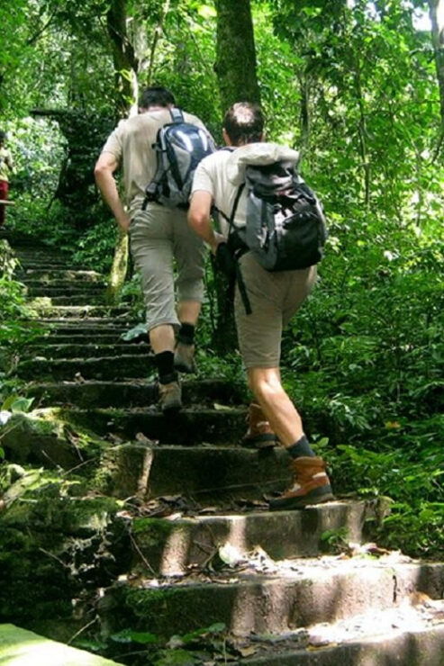 From Ninh Binh : Cuc Phuong National Park Full Day Trip - Good To Know