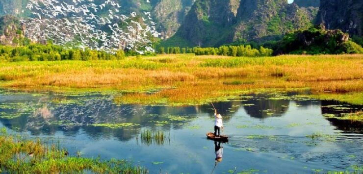 From Ninh Binh : Cuc Phuong National Park Full Day Trip - Tour Details