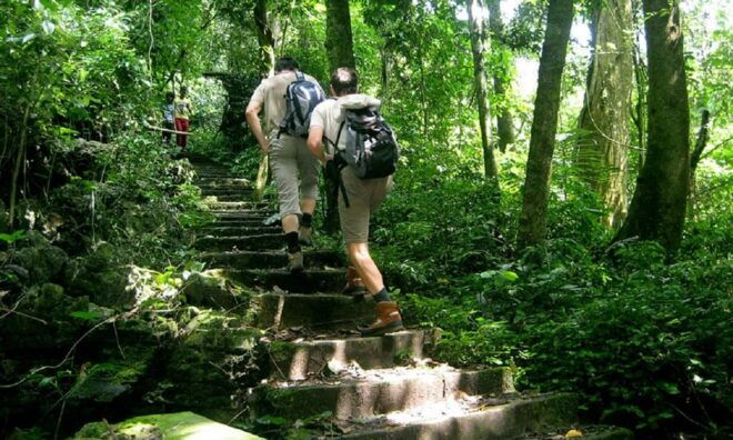 From Ninh Binh : Cuc Phuong National Park Full Day Trip - Important Information