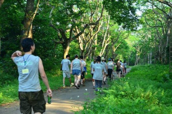 From Ninh Binh Cuc Phuong National Park Group Day Tour - Picnic Lunch Experience