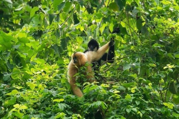 From Ninh Binh Cuc Phuong National Park Group Day Tour - Booking Information