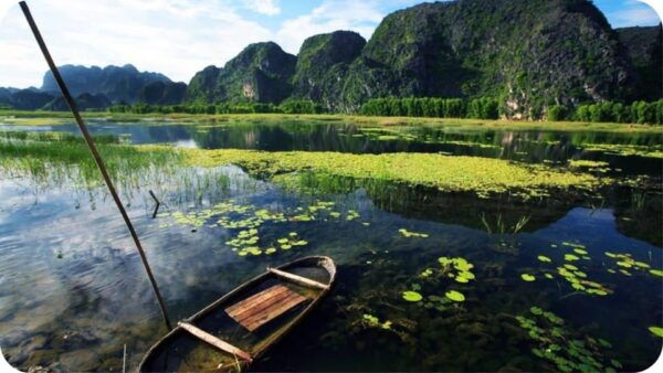 From Ninh Binh: Cuc Phuong National Park Guided Tour & Lunch - Cancellation Policy