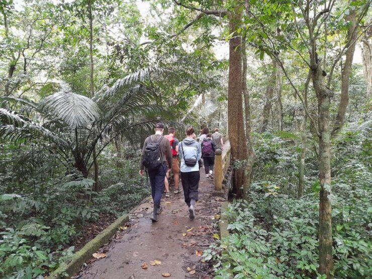 From Ninh Binh: Cuc Phuong National Park Tour With Lunch - Experiencing Cuc Phuong National Park