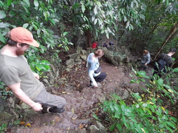 From Ninh Binh: Cuc Phuong National Park Tour With Lunch - Common Questions