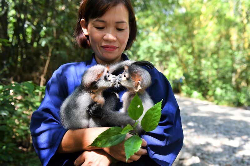From Ninh Binh: Cuc Phuong National Park & Van Long Small Group - A full day beyond Ninh Binh’s familiar sights