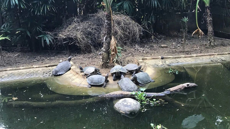 From Ninh Binh: Cuc Phuong National Park & Van Long Small Group - Transport, timing and what to pack