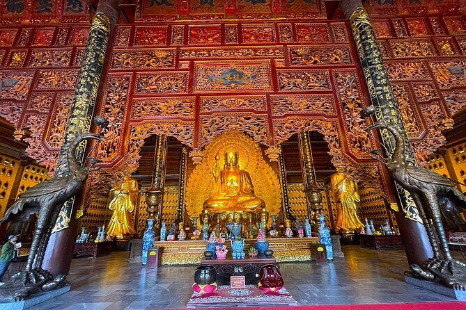 From Ninh Binh: Discover Bai Dinh Pagoda, Mua Cave & Trang An - Practicalities and Value