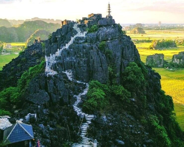From Ninh Binh/ Ha Noi : Bai Dinh - Trang An - Mua Cave Trip - Itinerary Highlights