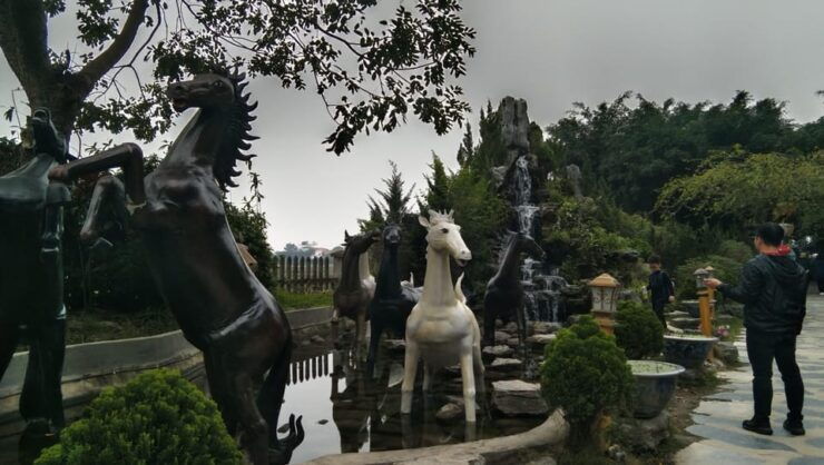 FROM NINH BINH: HOA LU-TRANG AN & MUA CAVE FULLDAY - Itinerary Highlights
