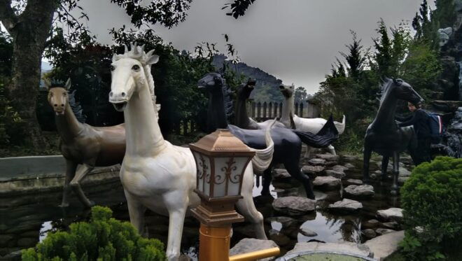 FROM NINH BINH: HOA LU-TRANG AN & MUA CAVE FULLDAY - Inclusions and Amenities