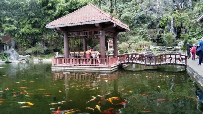 FROM NINH BINH: HOA LU-TRANG AN & MUA CAVE FULLDAY - Important Information