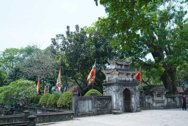 From Ninh Binh: Hoa Lu-Trang An- Mua Cave With Buffet/Guide - What to Bring