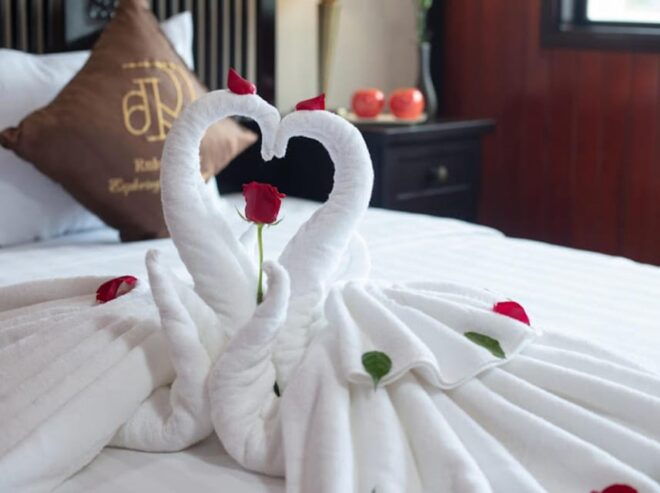 From Ninh Binh : Ruby Ha Long Bay Overnight Cruise 2D 1N - Included Amenities and Services