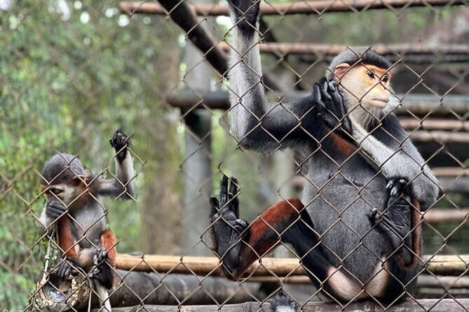 From Ninh Binh to Cuc Phuong National Park, Trekking and Jungle - A Deep Dive into the Experience