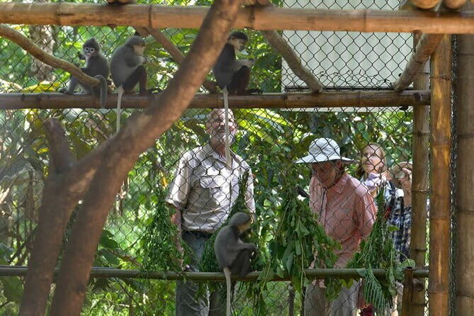 From Ninh Binh to Cuc Phuong National Park, Trekking and Jungle - The Sum Up