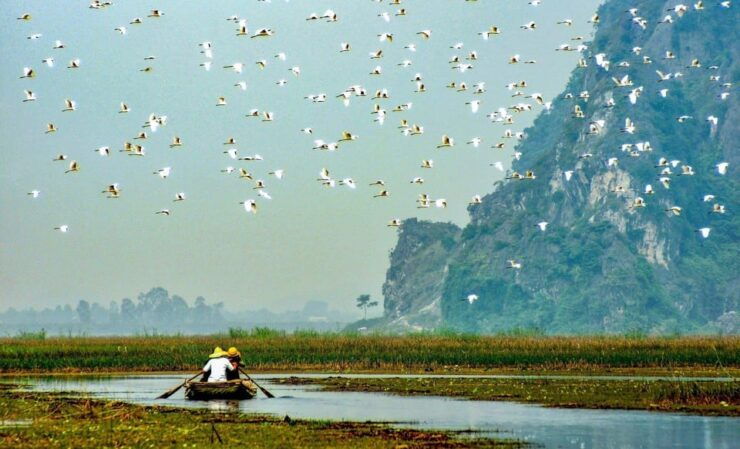 From Ninh Binh: Visit Cuc Phuong National Park - Van Long - Key Inclusions and Exclusions