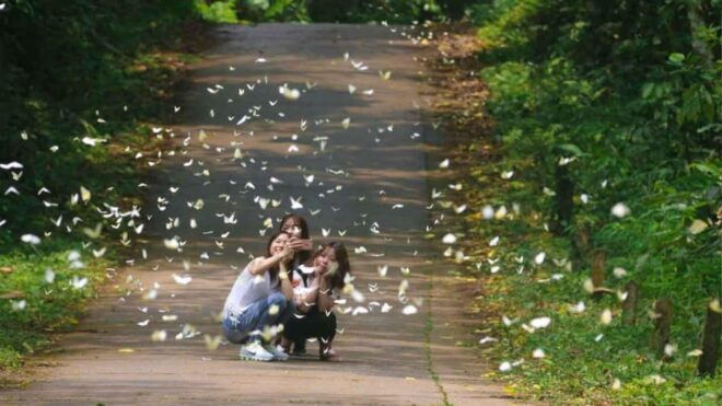 From Ninh Binh: Visit Cuc Phuong National Park - Van Long - Exploring Van Long Wetland