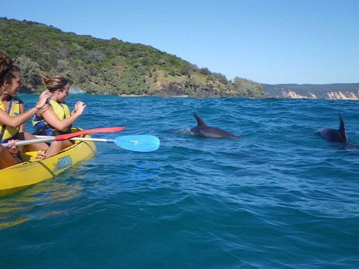 From Noosa: Dolphin Sea Kayaking and Beach 4X4 Tour - Experience the Crystal-Clear Waters