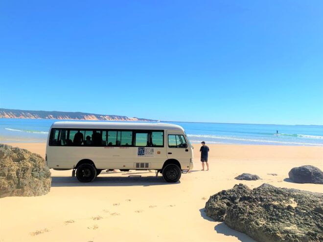 From Noosa: Dolphin Sea Kayaking and Beach 4X4 Tour - Wildlife Spotting in Their Natural Habitat