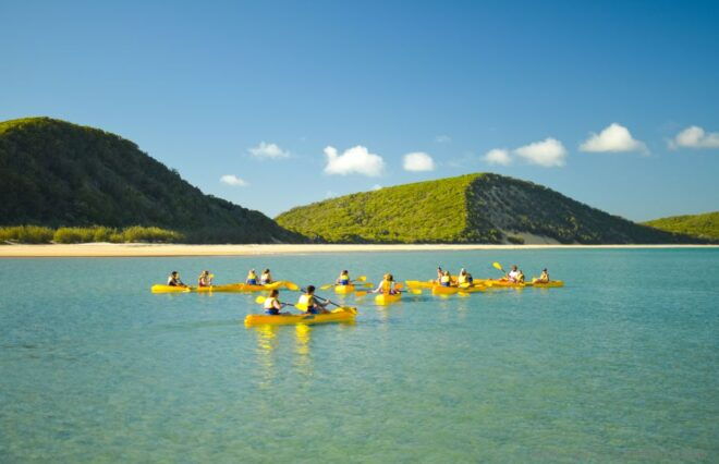 From Noosa: Dolphin Sea Kayaking and Beach 4X4 Tour - Kayaking Along the Colored Sand Cliffs