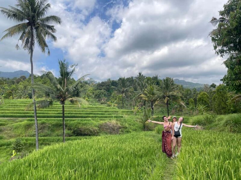 From North Bali: Aling Aling Waterfall and Blue Lagoon Tour - Authentic Experiences and Real Feedback
