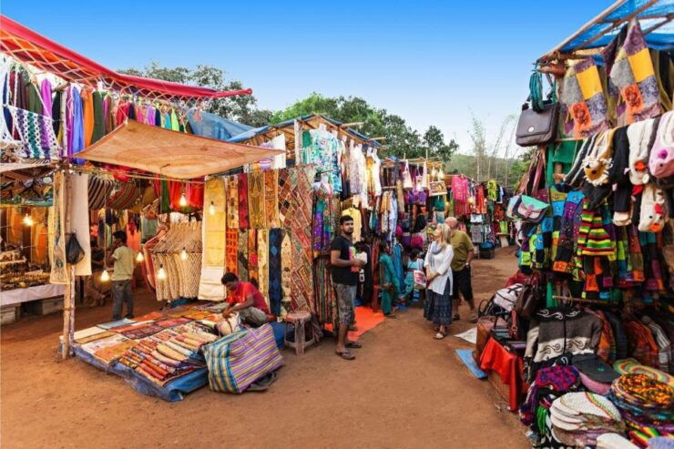 From North Goa : Full Day North Goa Tour With Pick up & Drop - Activity Description