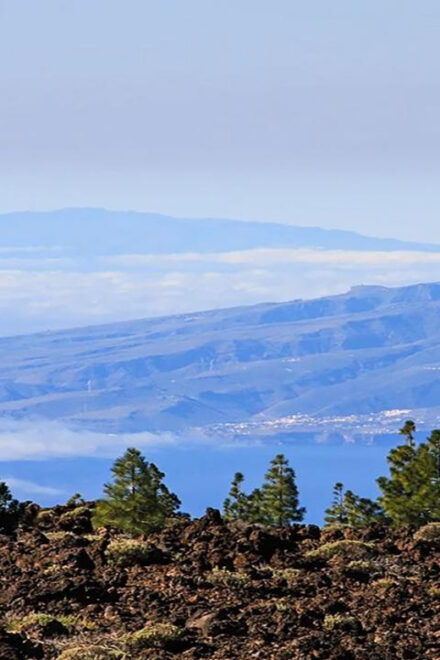 From North/South Tenerife: Half-Day Tour to Mount Teide - Accessibility