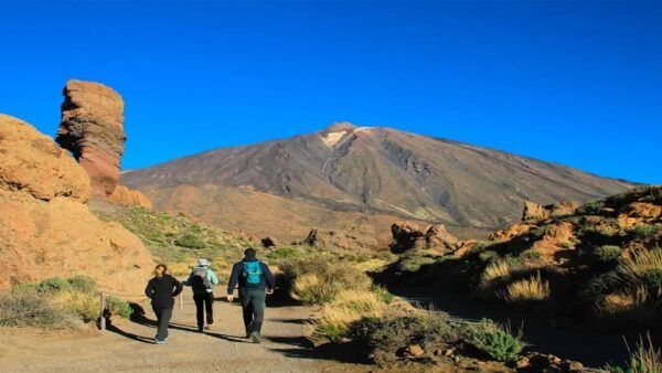 From North/South Tenerife: Half-Day Tour to Mount Teide - Language Options
