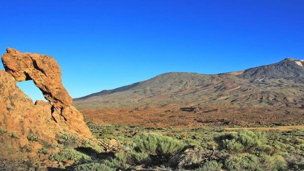 From North/South Tenerife: Half-Day Tour to Mount Teide - Duration and Price