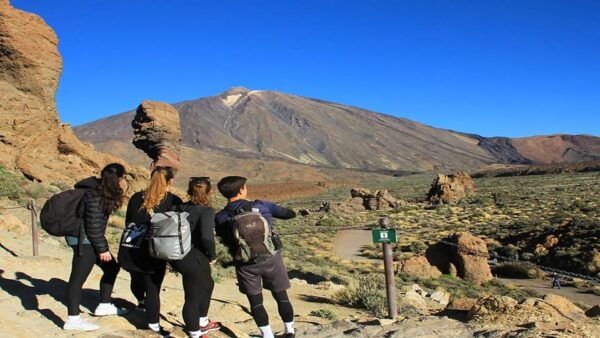 From North/South Tenerife: Half-Day Tour to Mount Teide - Frequently Asked Questions