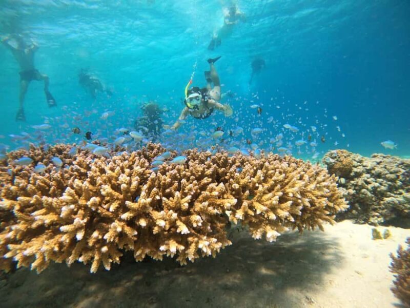From Nusa Penida: 2D1N Gili Islands Private Snorkeling Tour - Good To Know