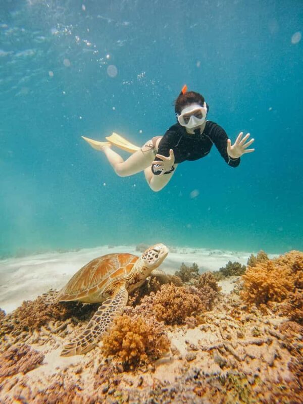 From Nusa Penida: 2D1N Gili Islands Private Snorkeling Tour - An In-Depth Look at the Experience