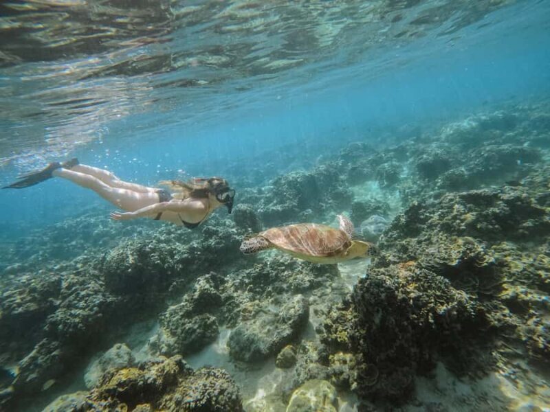 From Nusa Penida: 2D1N Gili Islands Private Snorkeling Tour - The Authenticity and Unique Touches