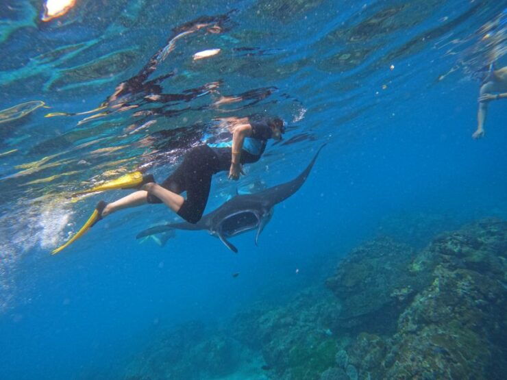 From Nusa Penida: 3 Spots Snorkeling Tour With Manta Rays - Activity Details
