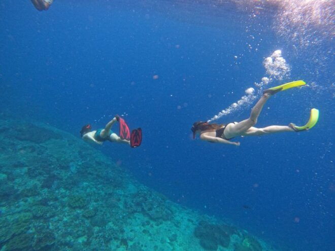 From Nusa Penida: 3 Spots Snorkeling Tour With Manta Rays - Review Summary