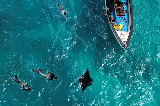 From Nusa Penida: 4 Spots Snorkeling Tour With Manta Rays - Tour Highlights