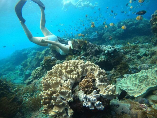 From Nusa Penida: 4 Spots Snorkeling Tour With Manta Rays - Common Questions