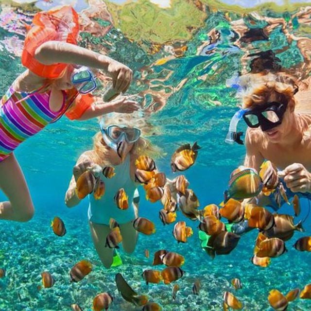 From Nusa Penida: Snorkeling Tour to 4 Spots With Manta Ray - Highlights